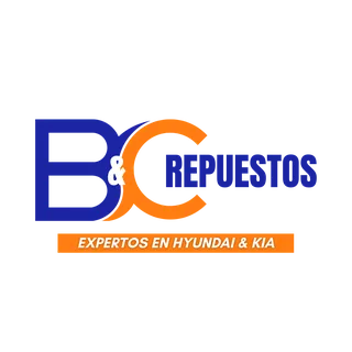 REPUESTOS B&C